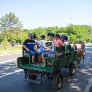 Városi nyári tábor 023