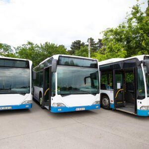 Ingyenes helyi buszközlekedés 005