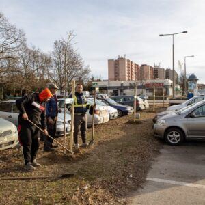 Évente 1000 új fa ültetése 009