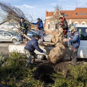 Évente 1000 új fa ültetése 010