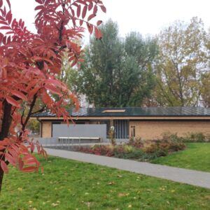 Katonadomb mosdó kert 2021 1