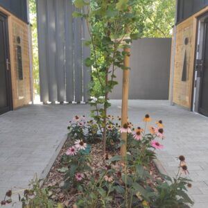 Katonadomb mosdó kert 2021 10