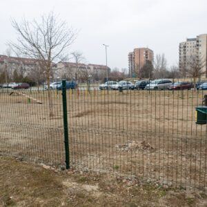 Kutyafuttato Szent Istvan park 003