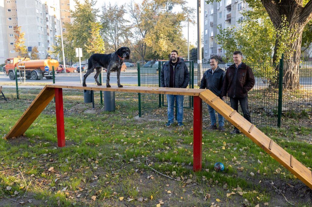 kutyfut 2021 Barátság 2