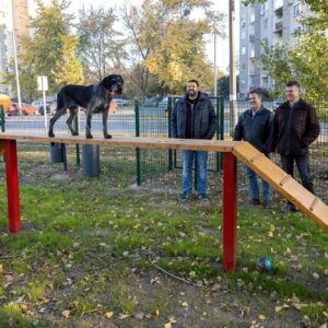 kutyfut 2021 Barátság 2