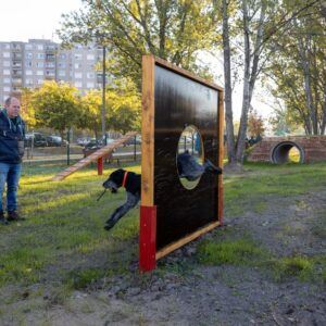 kutyfut 2021 Barátság 3